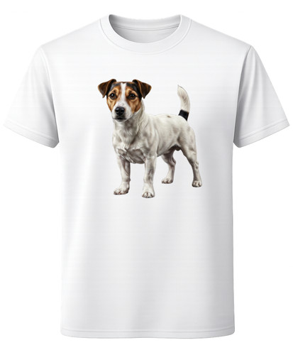Jack russell terrier standing - jack,
