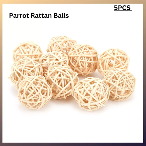5pcs funny parrot - funny, cockatiel