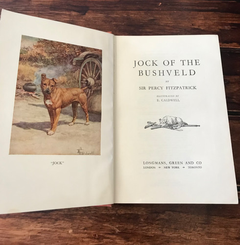 Jock the bushveld sir - jock, percy