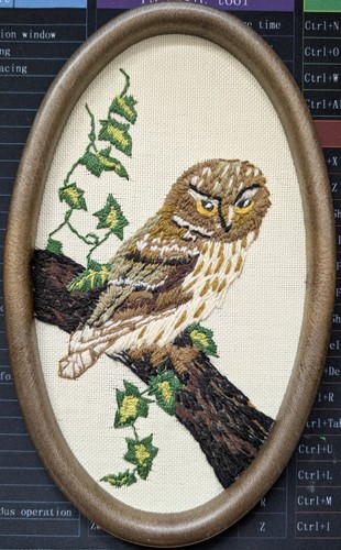 Owl cross stitch ovel - owl,