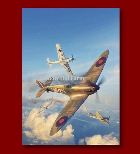 Fridge magnet raf - raf, spitfire