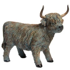 Highland cow walking - cow,