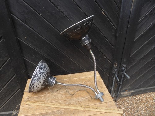 Vintage wasp adjustable - vintage,
