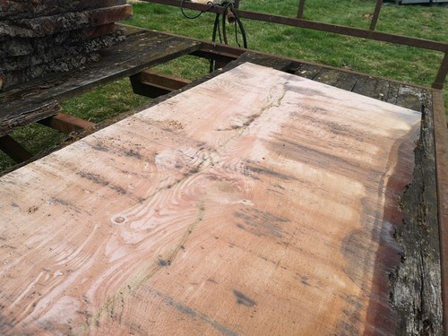 Oak slabs live edge year - edge, 2