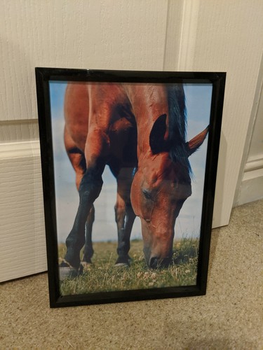 Red rum print - red,