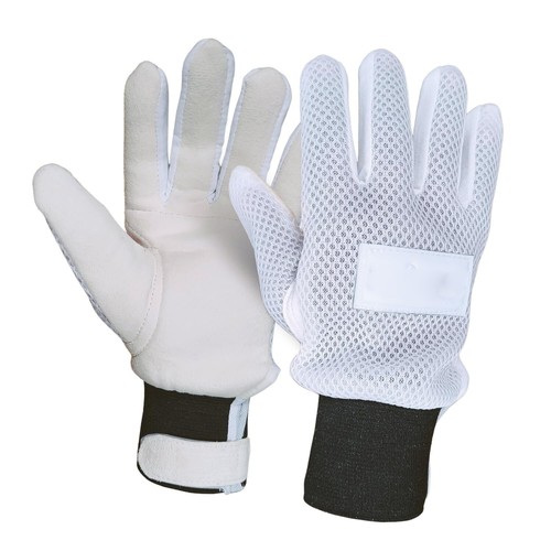Cricket wicket keeping - keeping, inner