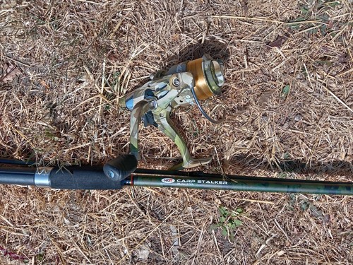 Angling pursuits 8ft carp - angling,