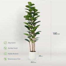 Kazeila Large Artificial Plant For Auction Indoor 180cm Faux Fiddle Leaf Fig 