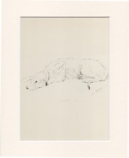 IRISH WOLFHOUND VINTAGE 1946