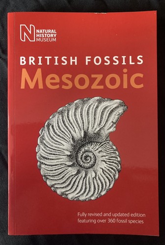 British mesozoic fossils - mesozoic,