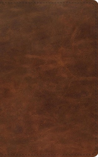 Esv thinline bible red - thinline, letter