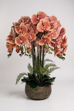 Luxury Real Touch Salmon