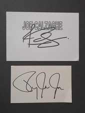 Joe Calzaghe and Roy Jones