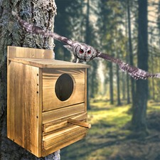 Real Wood Screech Owl House