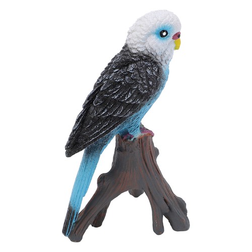 4pcs budgerigar growth - 4pcs, cycle