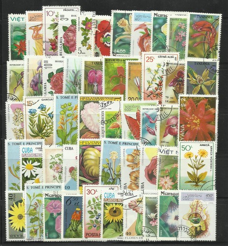 Flowers and plants collection - and,