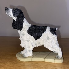 Border Fine Arts Springer