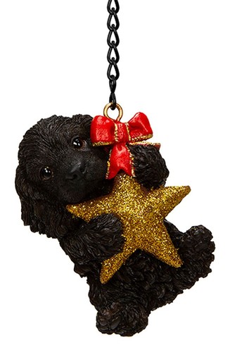 Black cocker spaniel puppy dog - spaniel,