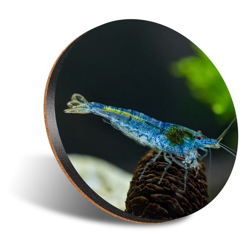 Round 12cm coaster - 12cm,