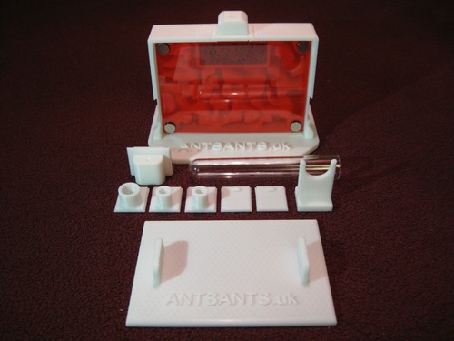 Medium ant nest v2s - medium,