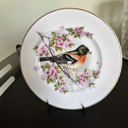 Fenton china white - white, plate