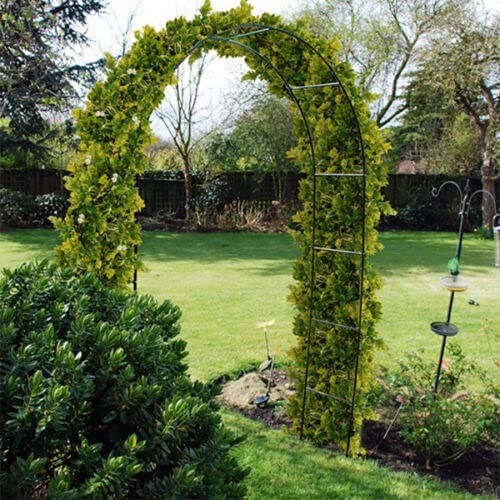 Garden rose arch - arch, heavy