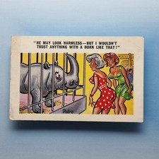 Comic Postcard Rhino Horn Zoo Boobs Short Skirt C1960 Sunny Pedro