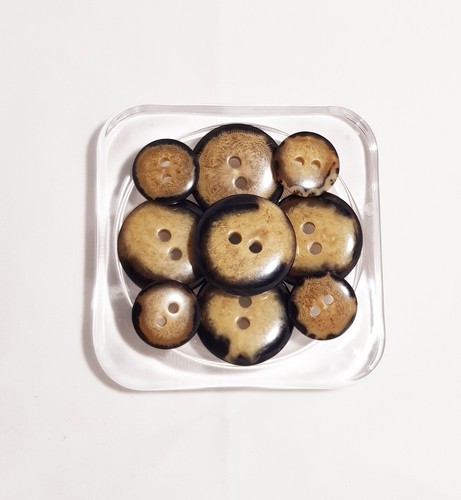 Large small tortoise shell - tortoise,