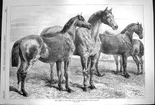 Original old antique print - antique,