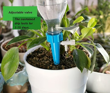 Automatic self watering - self,