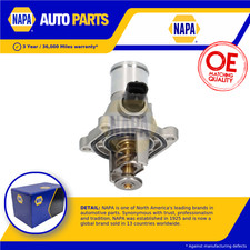 Coolant Thermostat fits