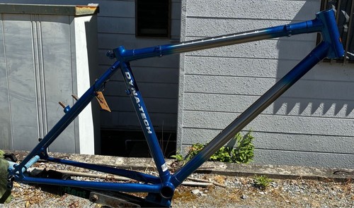 Raleigh dynatech titanium - raleigh,