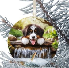 Bernese Mountain Dog Hanging