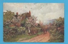 271626  Postcard  MULLION
