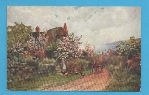 271626 postcard mullion - ,