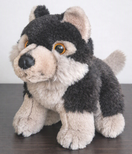 Nature planet husky wolf dog - husky,