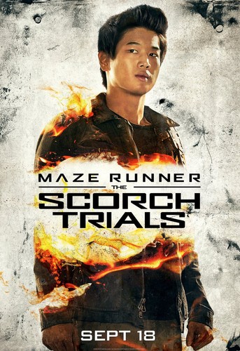 Maze runner the scorch trials - maze,