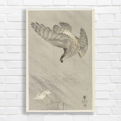 Majestic falcon nature - falcon,