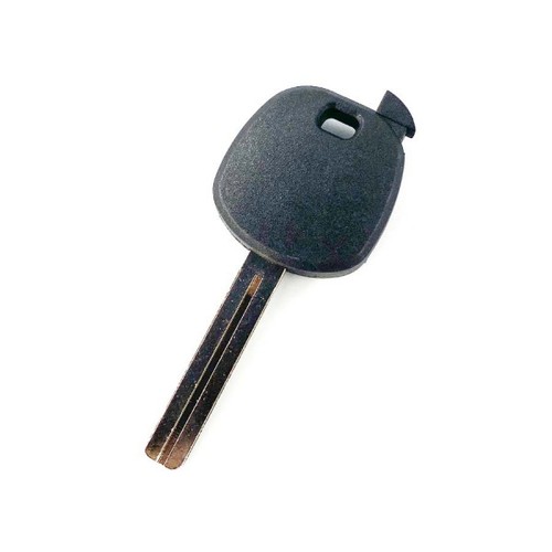 Autowave rav - autowave,