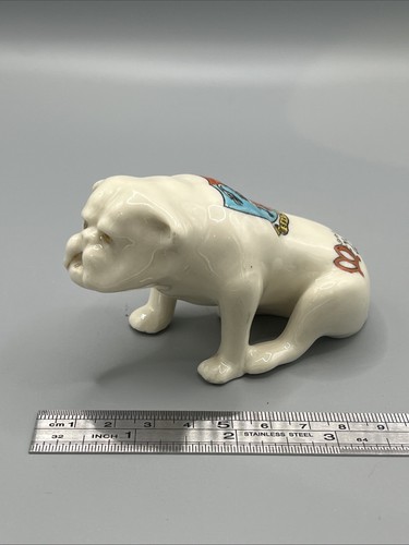 Arcadian crested china bulldog - crested,