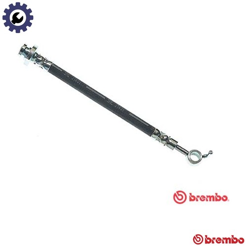 Brake hose 164 - brake, nissan