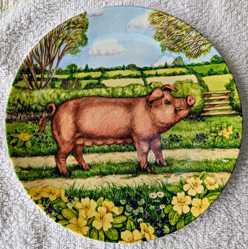 Royal doulton pigs bloom - in,