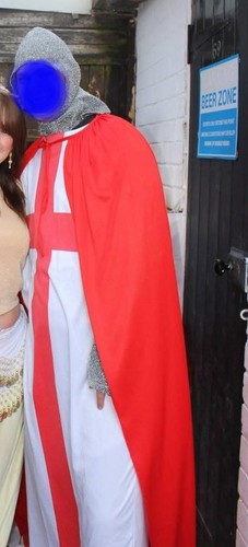 Fancy dress knight - fancy, medieval