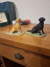 Pair Of Border Fine Arts Labrador Dog Figurines