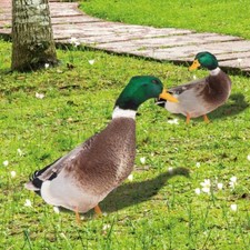 Outdoor Acrylic Duck Statues