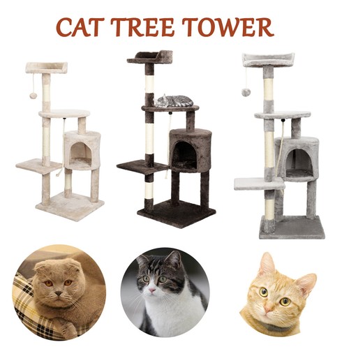 Large 143cm cat - 143cm,