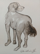 Small Hand Drawn Pen & Ink