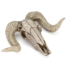 Wall Mounted Garden Skull