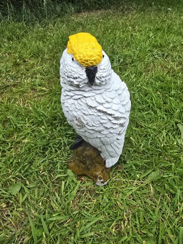 Cockatoo stone garden ornament - cockatoo,