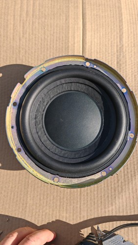 Sony dual coil subwoofer - 8",